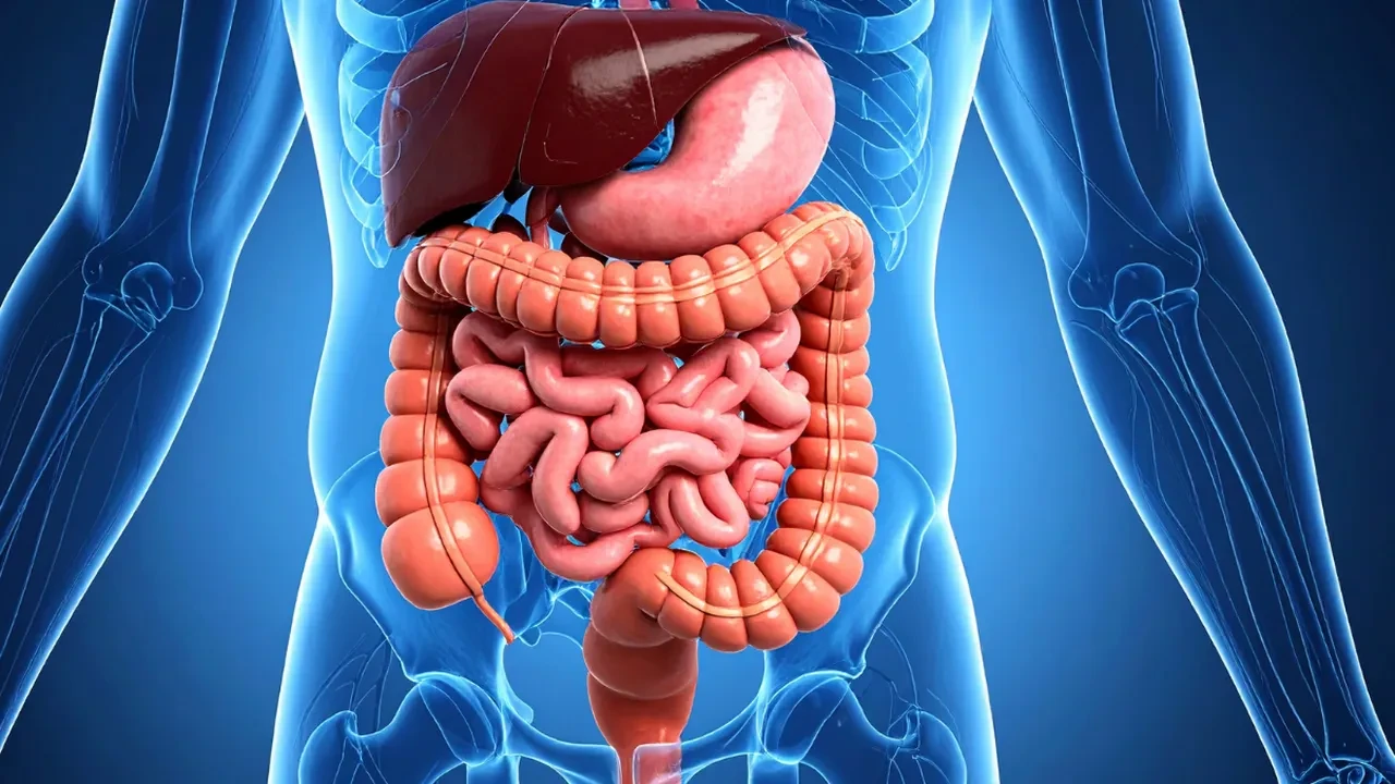 Yemekten sonra karnınız şişiyorsa dikkat! Diyetisyen Büşra Çalışkan’dan doğal çözüm