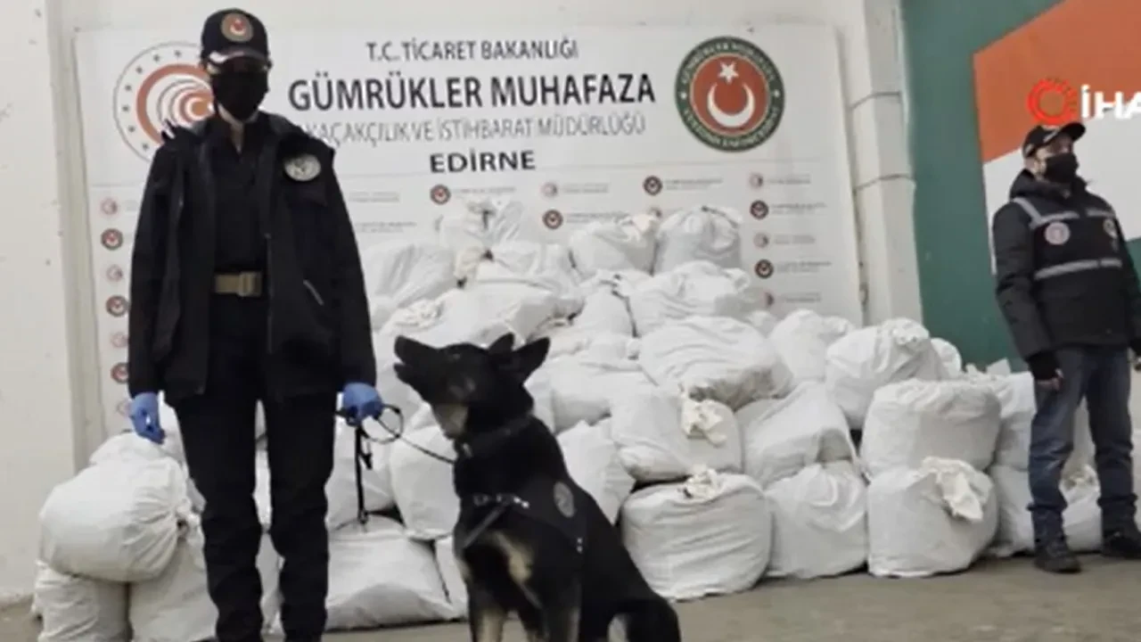 Dondurulmuş tavukların arasına gizlemişler! Narkotik köpekleri rekor miktarda uyuşturucuyu patlattı