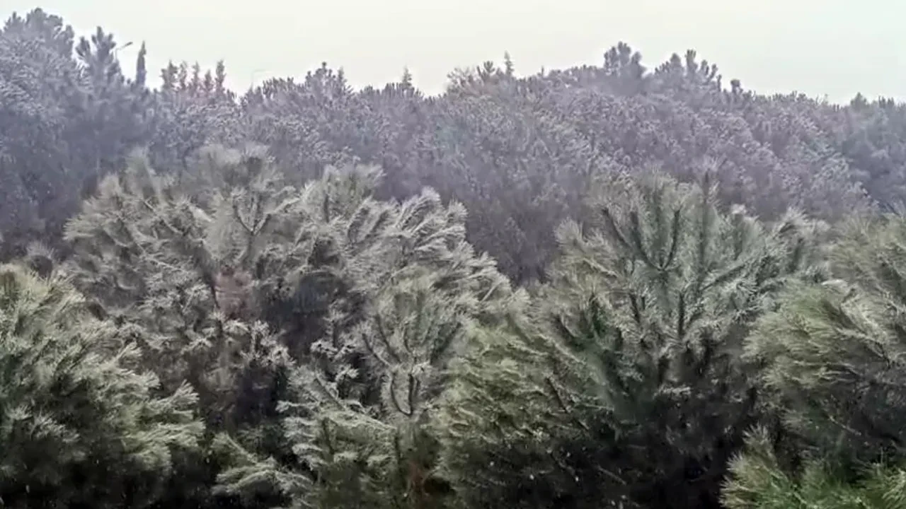 İstanbul’da yüksek kesimlerde kar yağışı başladı