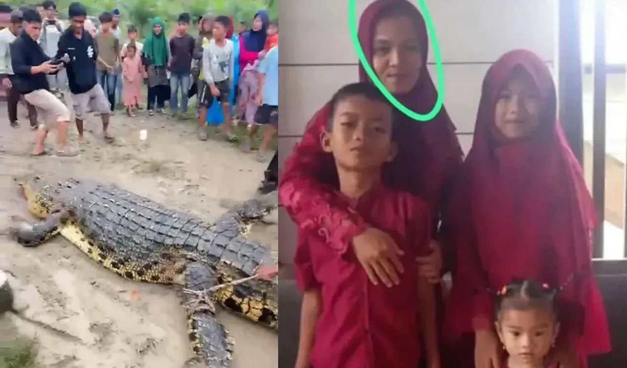 Nehir kenarında korkunç timsah saldırısı: Parçaları midesinden çıktı
