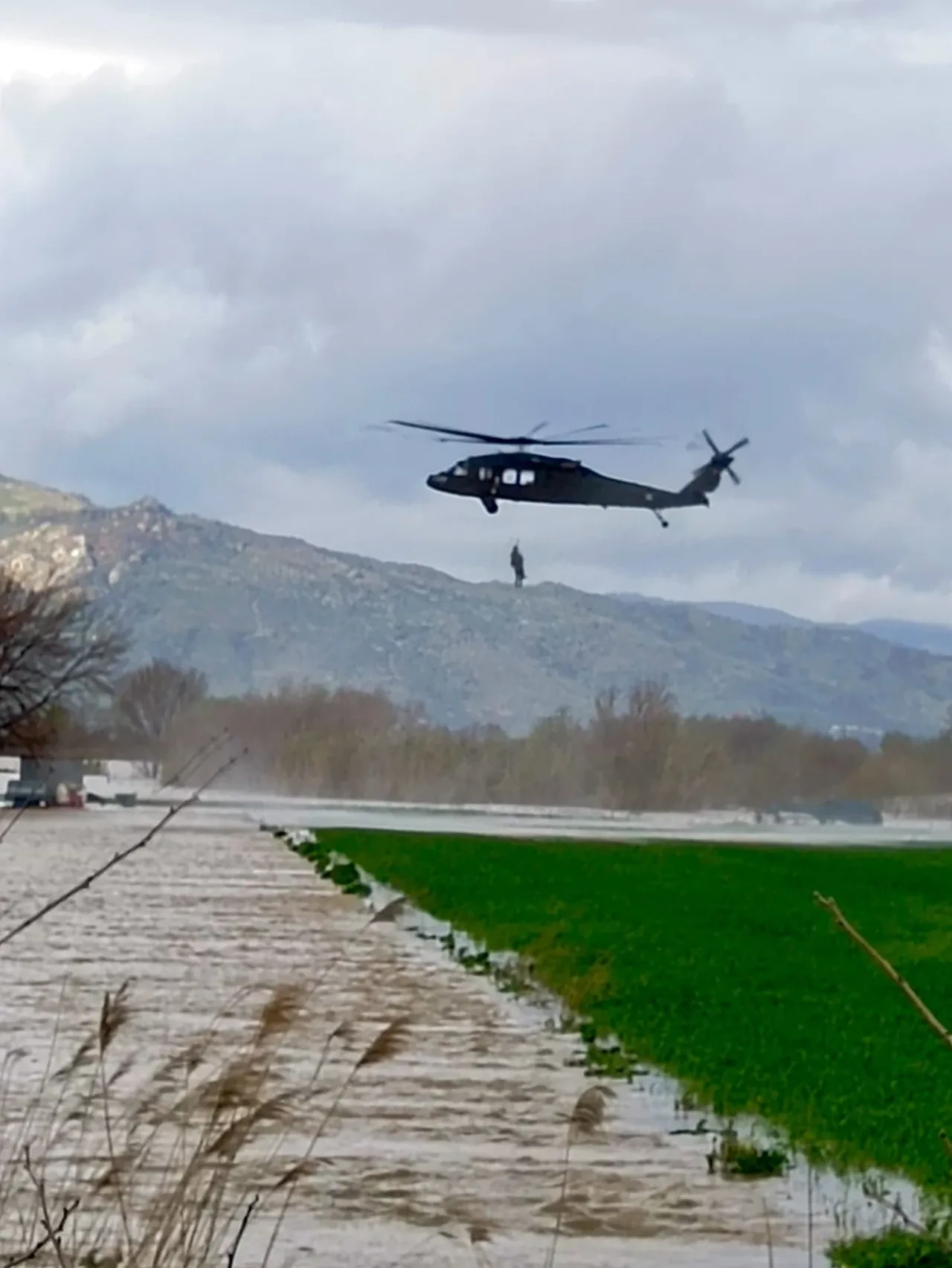 Aydın'da inanılmaz olay! 1 hafta damda yaşam mücadelesi verdi: Tesadüfen fark edildi 