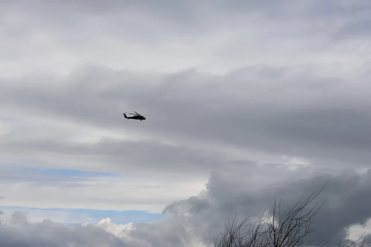 Aydın'da inanılmaz olay! 1 hafta damda yaşam mücadelesi verdi: Tesadüfen fark edildi 