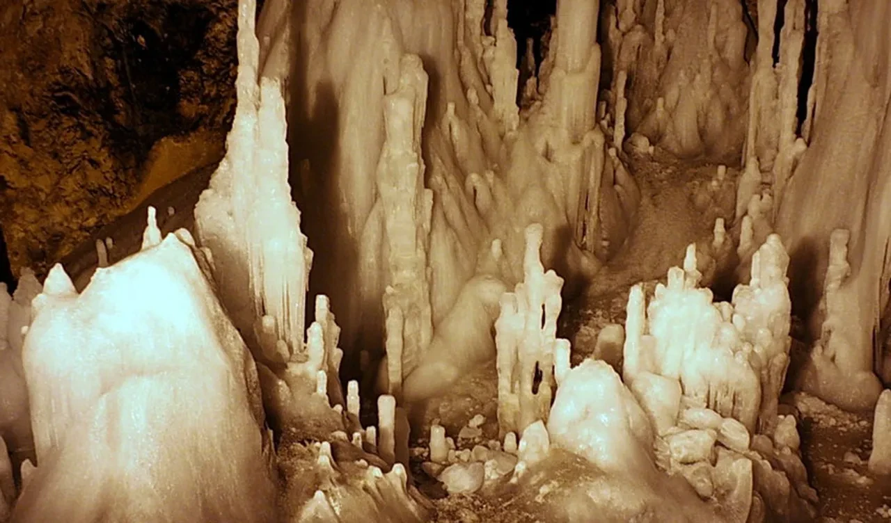 Buzun içindeki gizemli keşif! Modern tıbbı baştan yazacak 5 bin yaşında süper bakteri bulundu