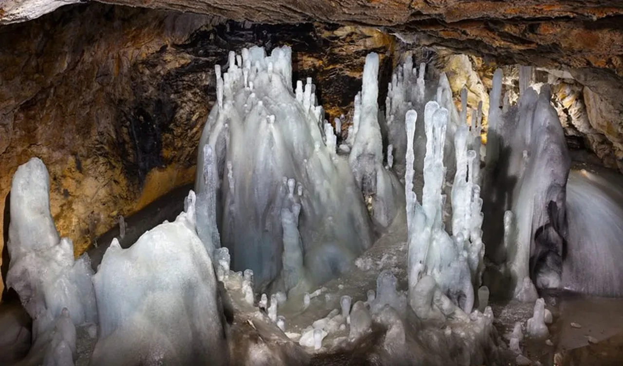 Buzun içindeki gizemli keşif! Modern tıbbı baştan yazacak 5 bin yaşında süper bakteri bulundu
