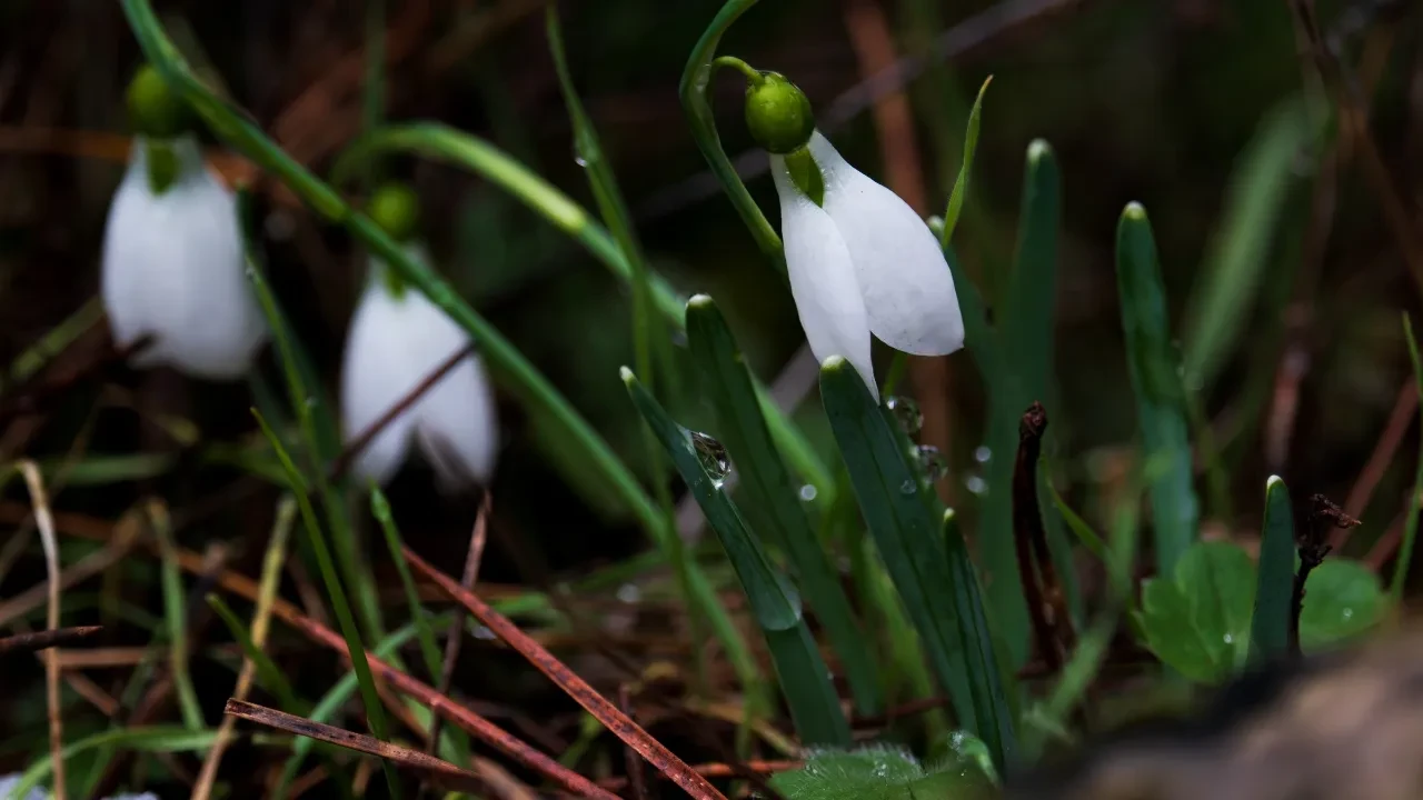 Dokunmadan önce iyi düşünün! Zarar verirseniz 699 bin 245 TL ceza yersiniz