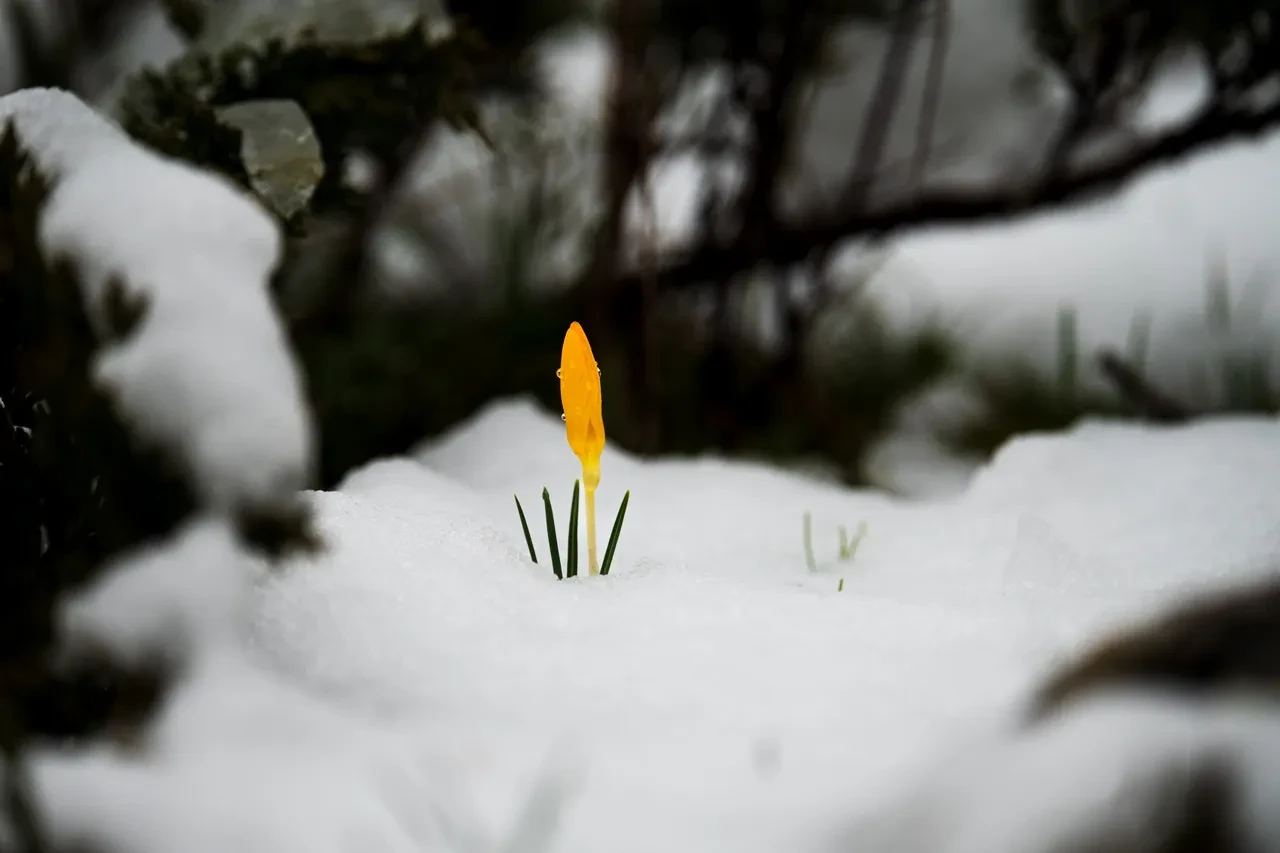 Dokunmadan önce iyi düşünün! Zarar verirseniz 699 bin 245 TL ceza yersiniz