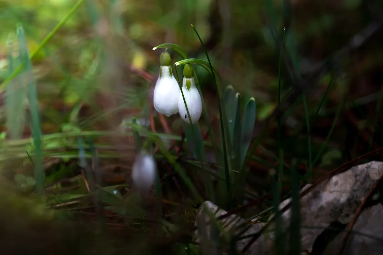 Dokunmadan önce iyi düşünün! Zarar verirseniz 699 bin 245 TL ceza yersiniz