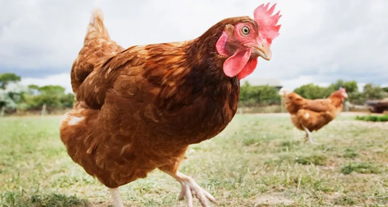 Dünyada mekân ahirette iman diye diye…