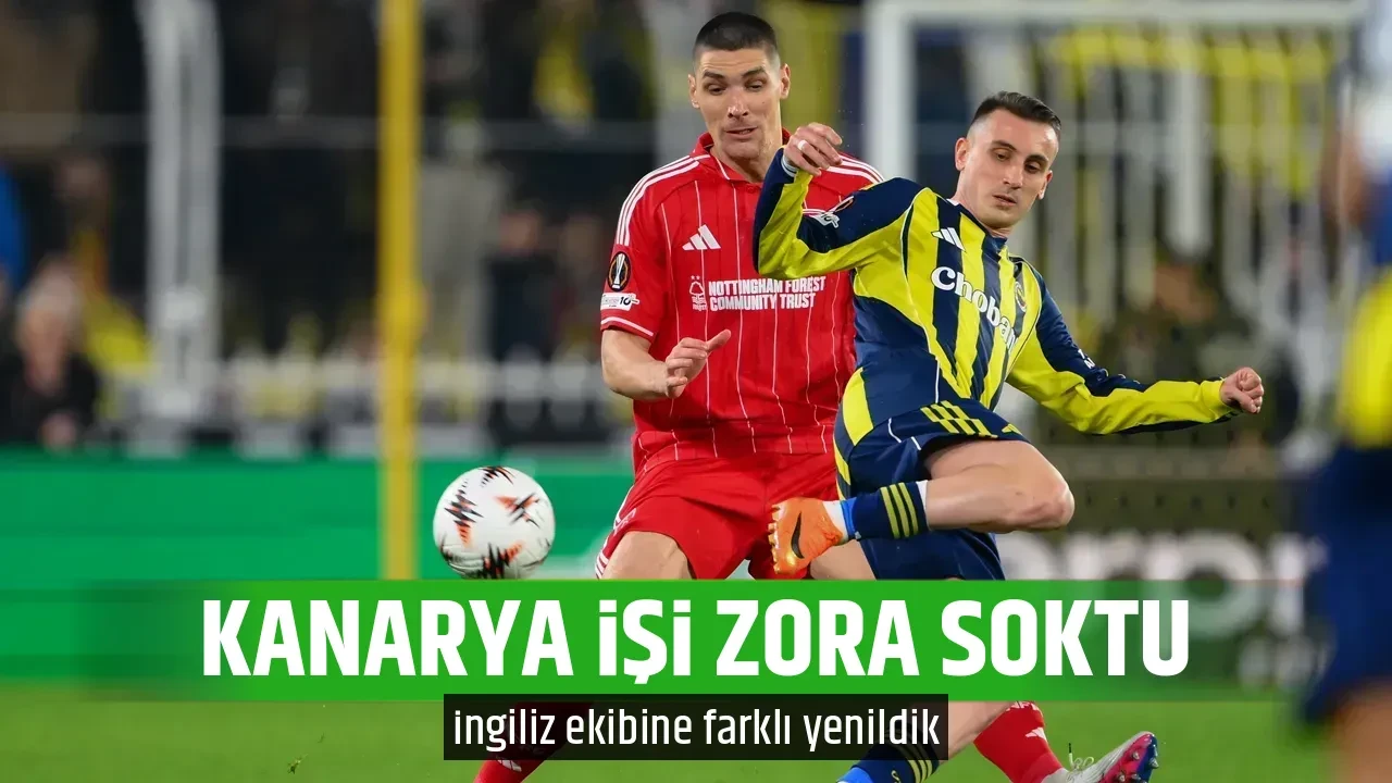 KANARYA İŞİ ZORA SOKTU