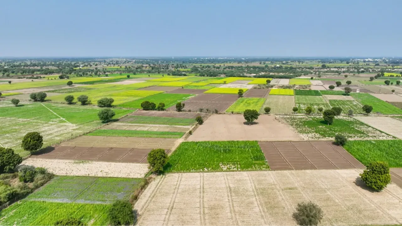 Konut yatırımında yükselen trend: Topraktan Villa!
