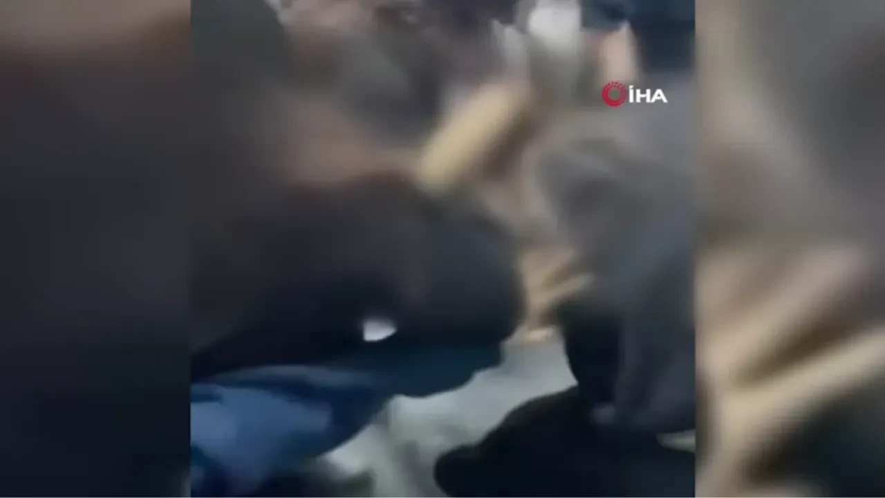 Lisedeki saç saça baş başa kavga anları kamerada: 3 öğrenciye uzaklaştırma cezası!