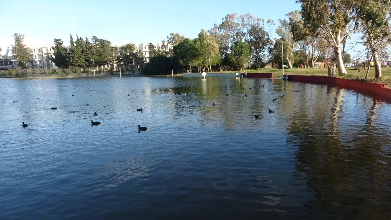 Önce baraj kapakları açıldı, ardından fırtına vurdu! Gölle deniz birleşti