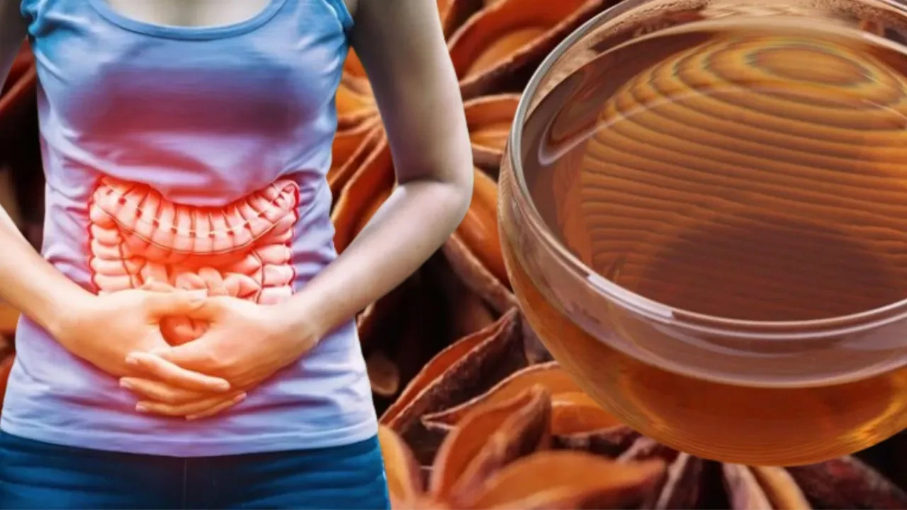 Ramazan 2026'da da bağırsakları çalıştırın! İftardan sonra bir bardak anason çayı