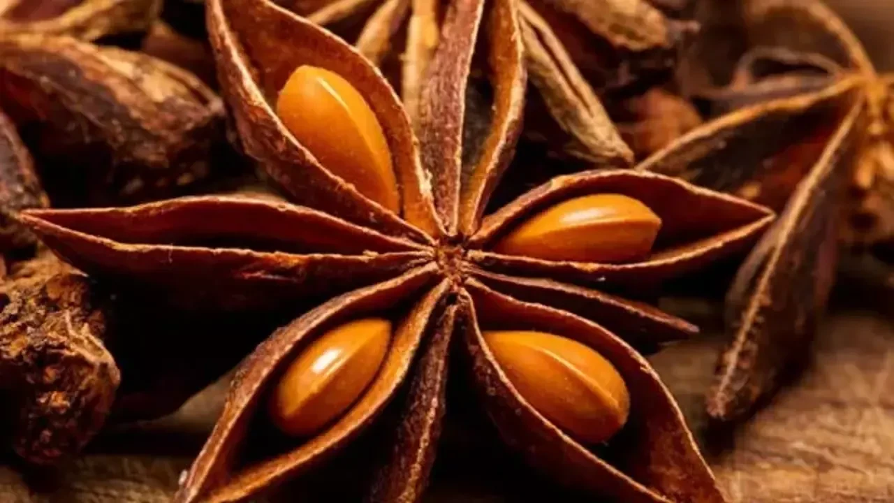 Ramazan 2026'da da bağırsakları çalıştırın! İftardan sonra bir bardak anason çayı