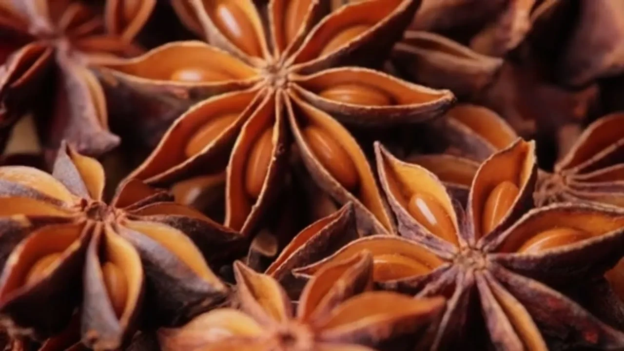 Ramazan 2026'da da bağırsakları çalıştırın! İftardan sonra bir bardak anason çayı