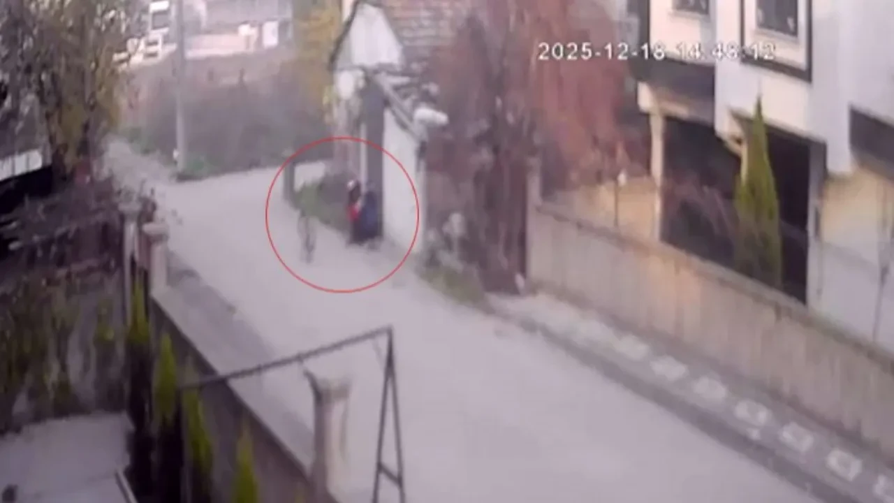 Bebek arabasından 2 milyon liralık altın çaldı! Akılalmaz görüntüler kamerada 