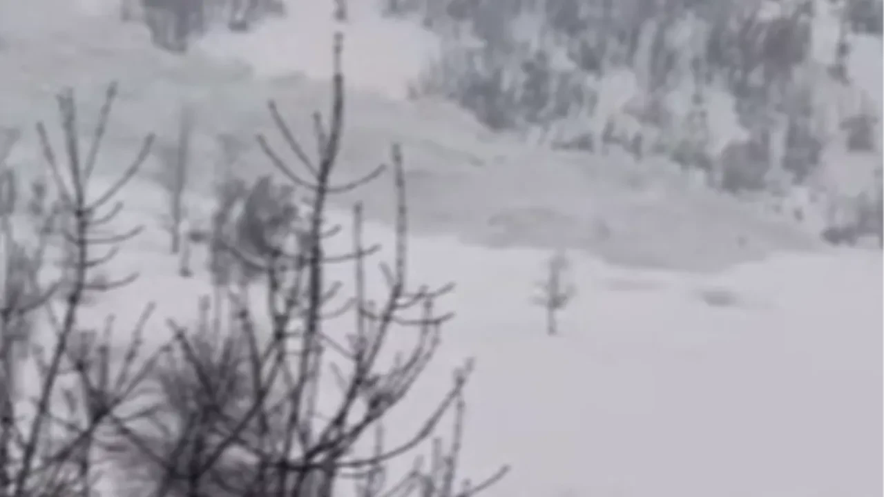 Beytüşşebap'ta o anlar saniye saniye görüntülendi! Dev çığ şelale gibi indi!