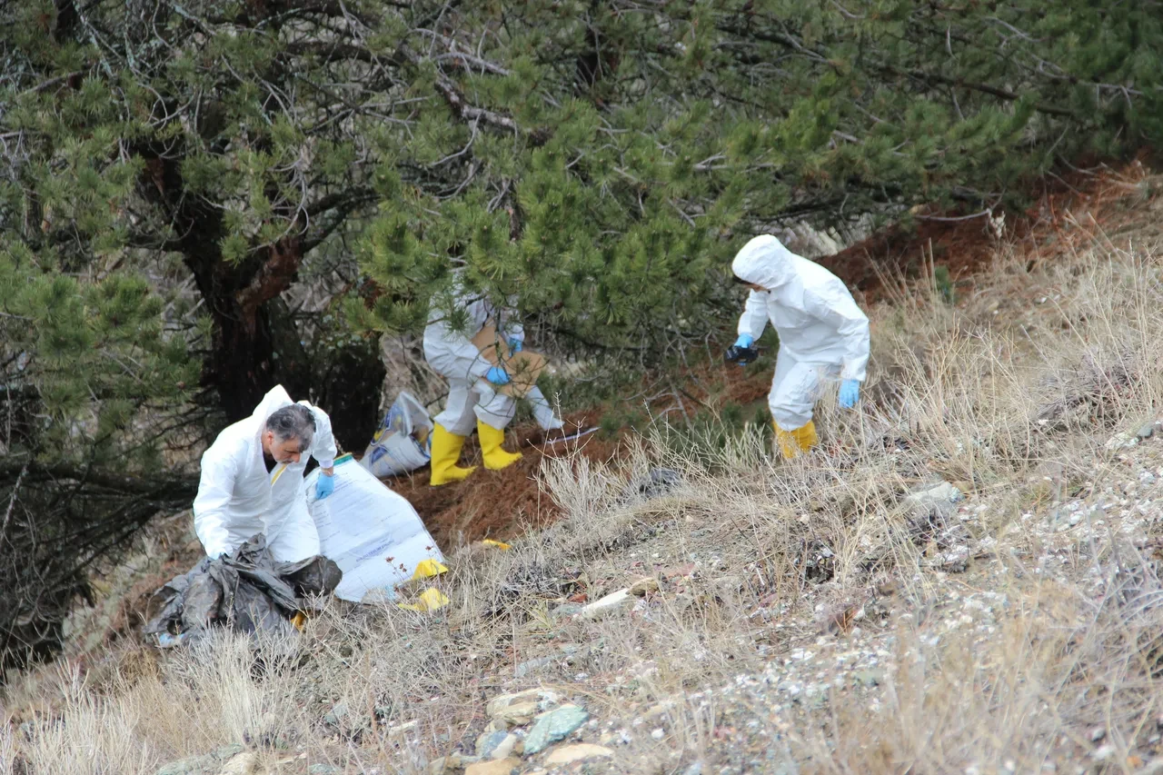 Çorum'da dere yatağında vahşet! Cesedi parçalara ayırıp poşetlemişler: Kafa kısmı her yerde aranıyor