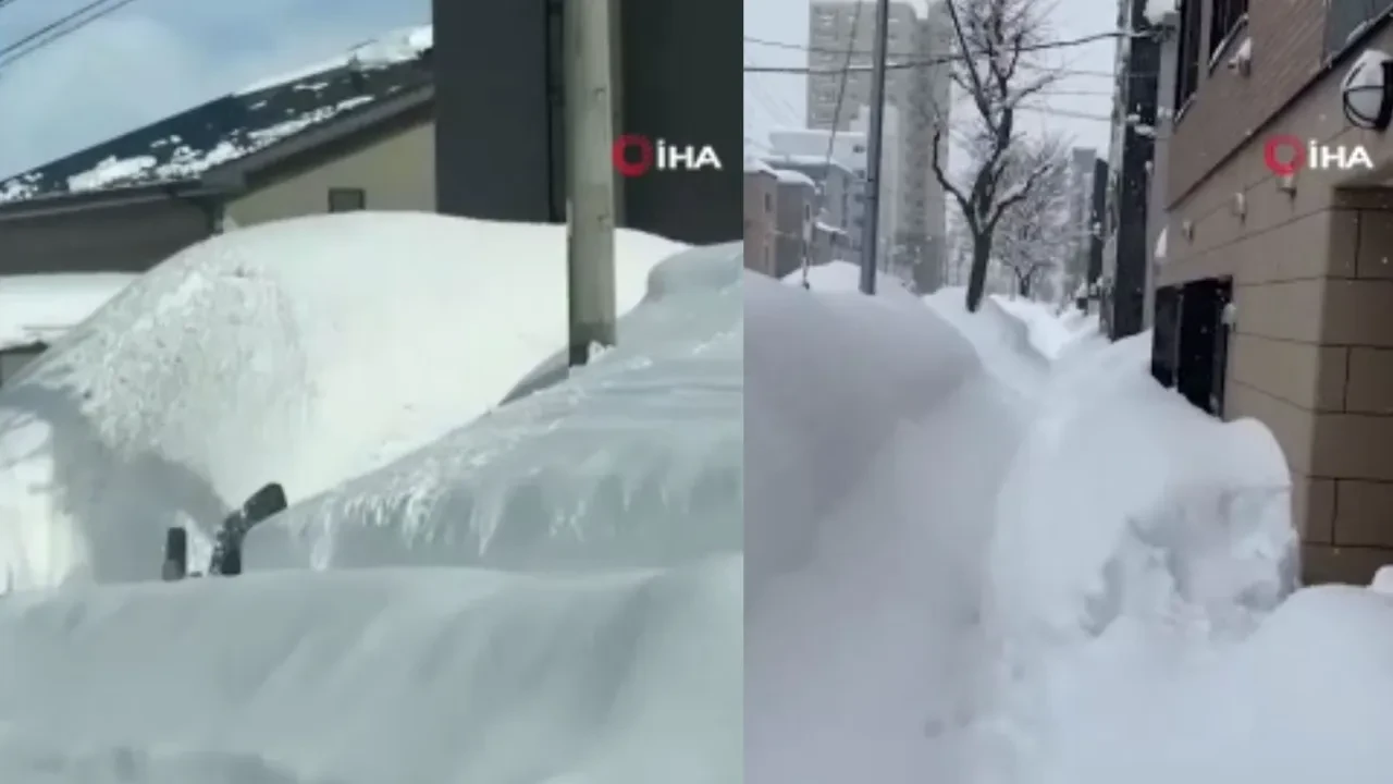 Şiddetli kar yağışı Japonya'da ölümleri de beraberinde getirdi