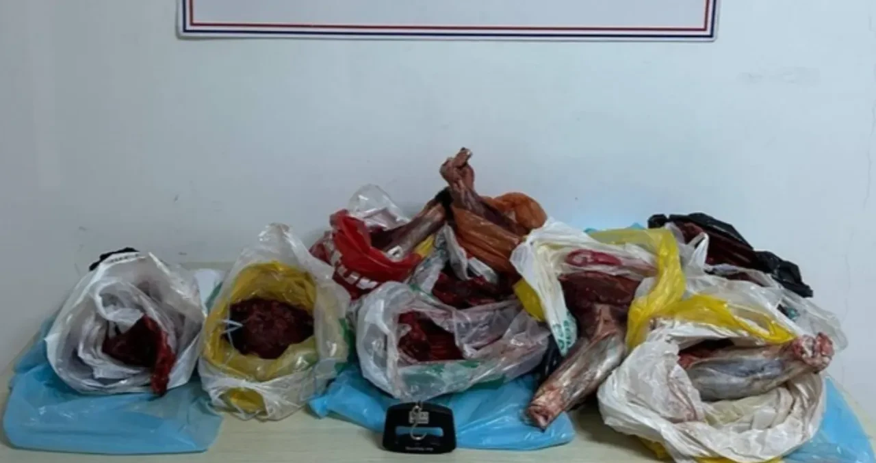 Yabancı şüpheli hareketleriyle dikkat çekti! Poşetlerden 60 kilo yaban domuzu eti çıktı