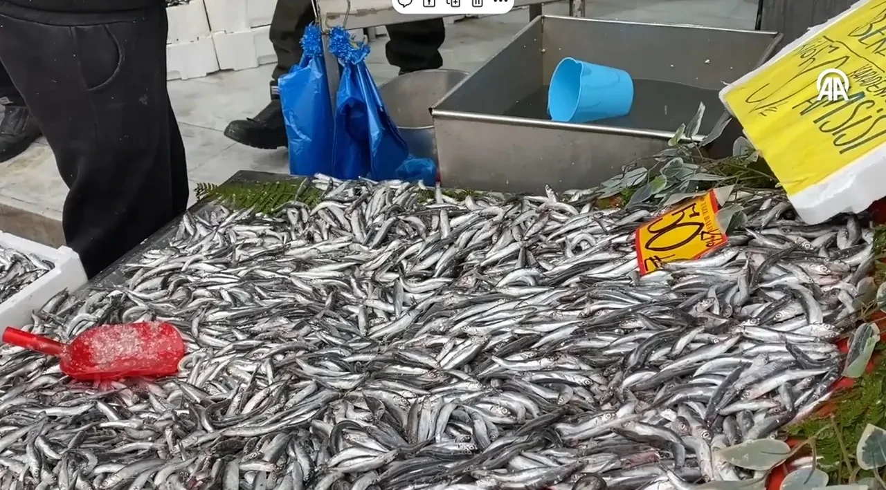 Hamside ramazan bereketi: İftar sofraları ucuz balıkla şenlendi