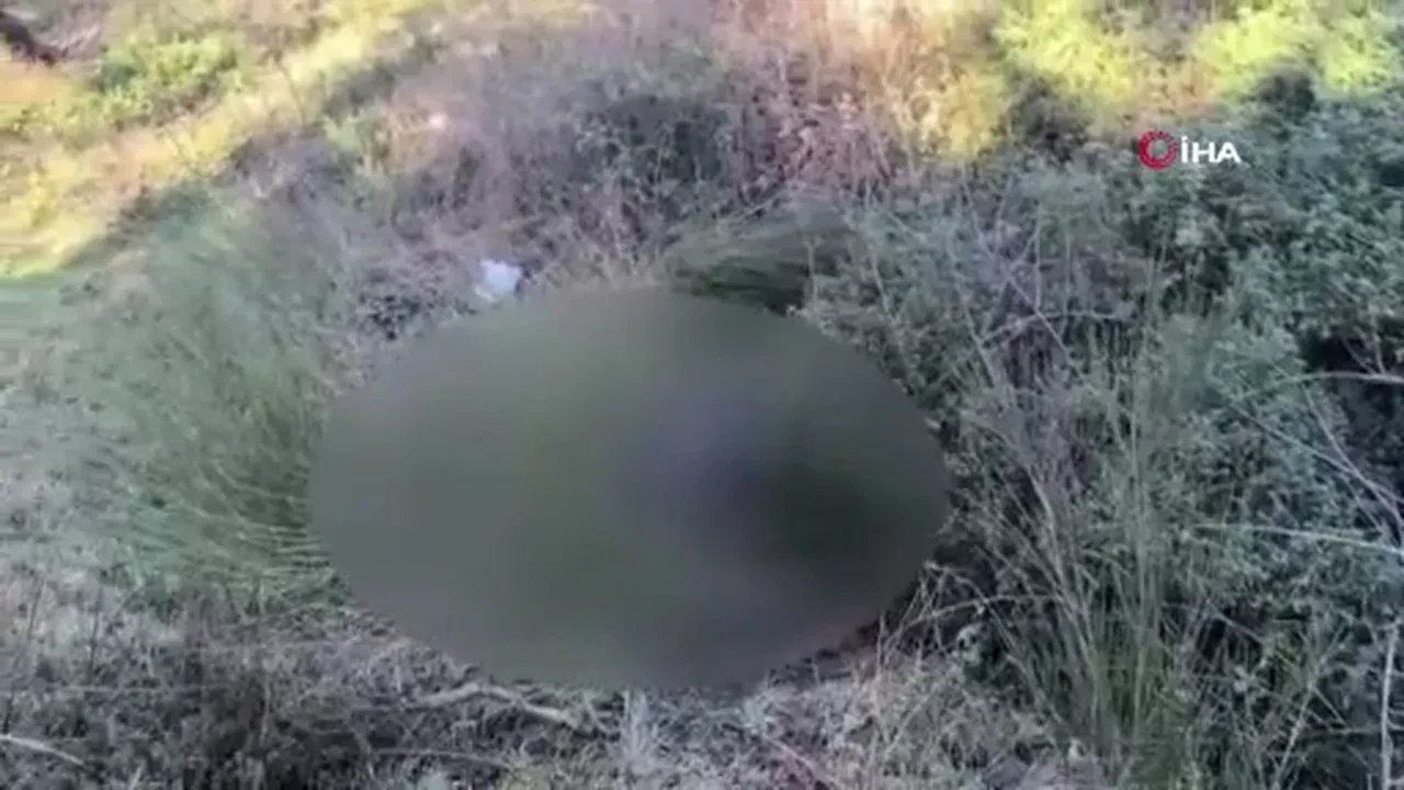 Kan donduran vahşet! 26 gündür aranan adamın cesedi ormanda bulundu: Detaylar korkunç