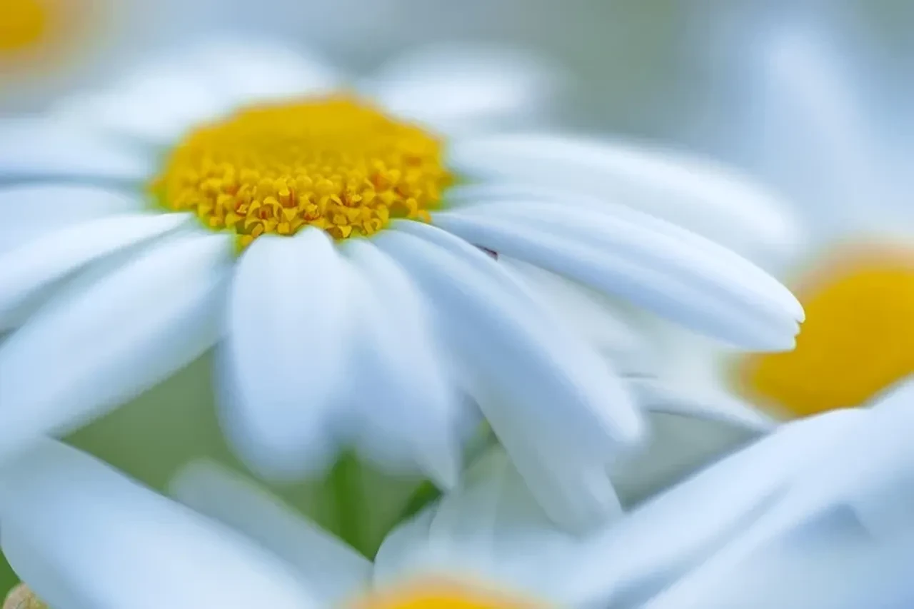 2026 2. cemre suya ne zaman düşecek düştü mü? Cemre düşme sıralaması