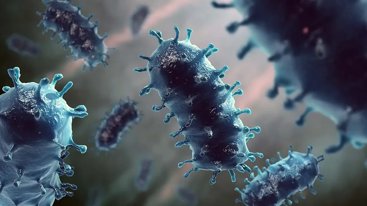 İstanbul'da kuduz alarmı! Vakalar arttı, en çok görülen ilçeler belli oldu