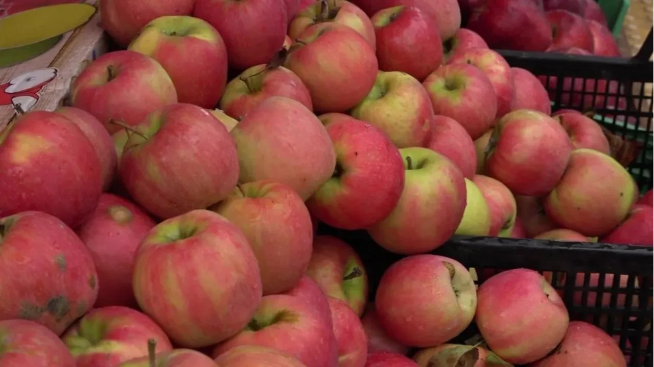 Kilosu 150 TL! 2 bin yıldır burada yetişiyor: Sahte olmadığını anlamanın tek yolu var