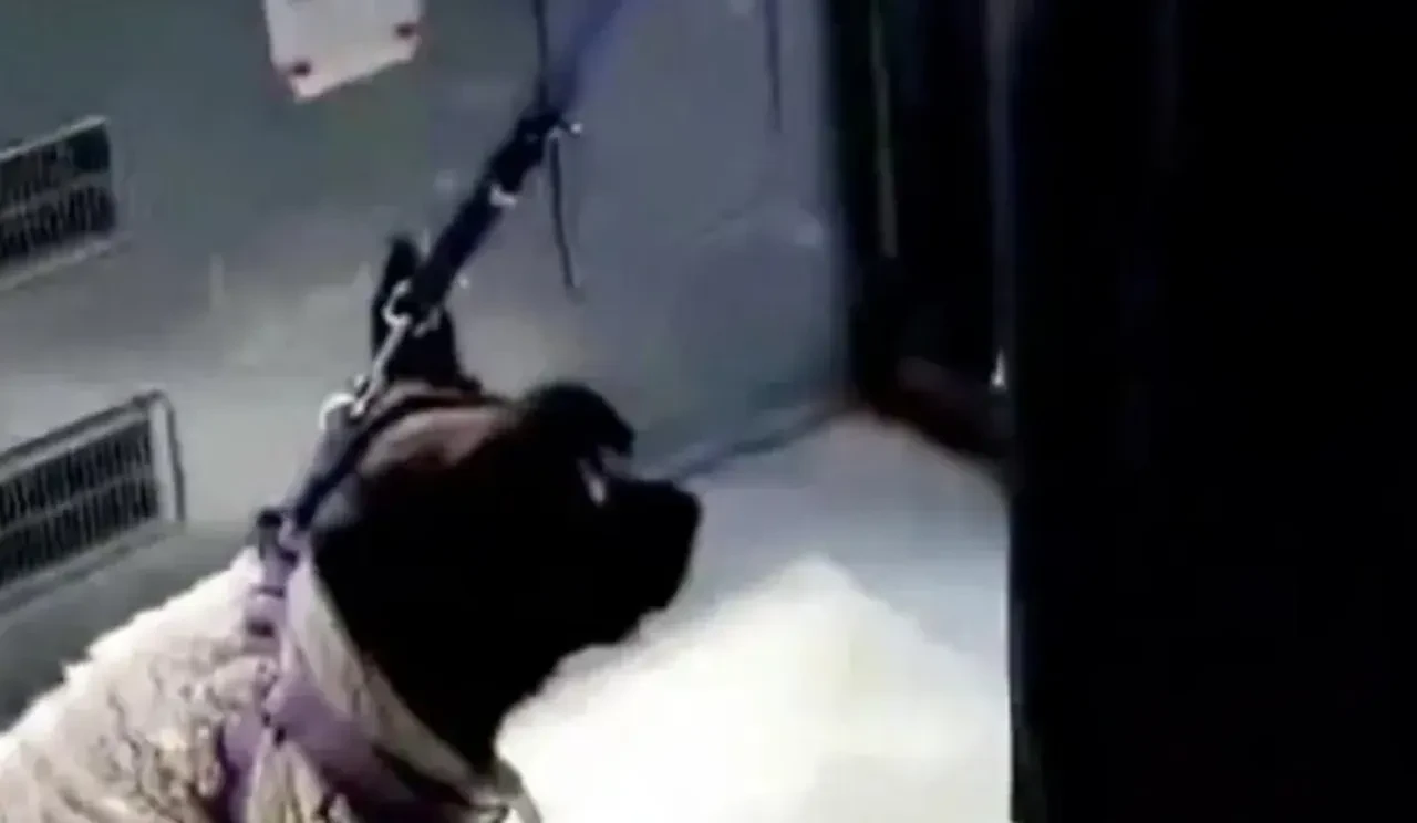 Önce polis sonra savcı oldu! Otobüsü birbirine katan kadının ifadesi ortaya çıktı