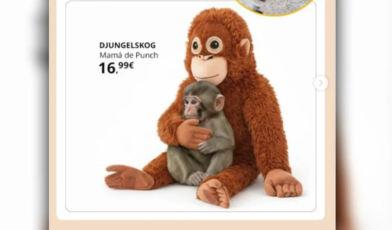 Punch'ın oyuncak maymunu yok satıyor! Küresel bir pazarlama başarısı