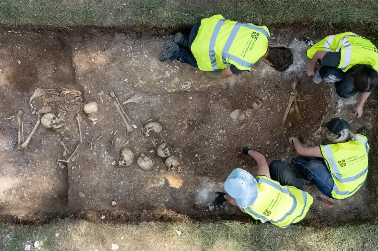 Viking dönemine ait 1200 yıllık 'idam çukuru' bulundu: Antik Çağ'ın acımasız şiddeti gözler önüne serildi