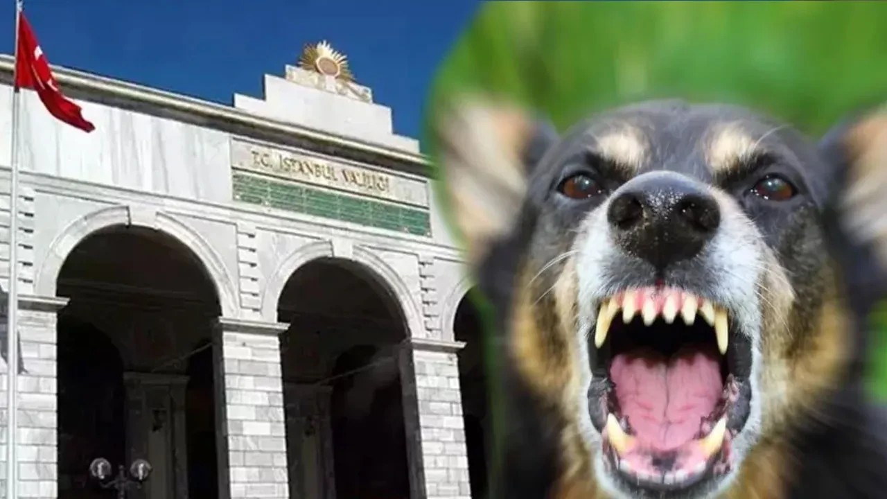 İstanbul Valiliği'nden 