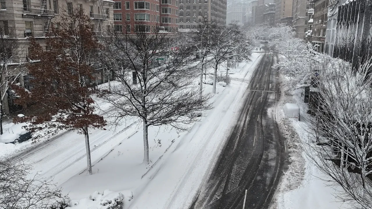 ABD'nin hava trafiği çöktü: Kar yağışı esir aldı