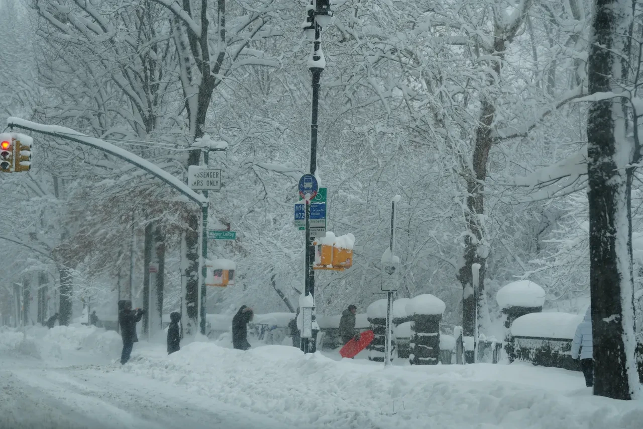 ABD'nin hava trafiği çöktü: Kar yağışı esir aldı