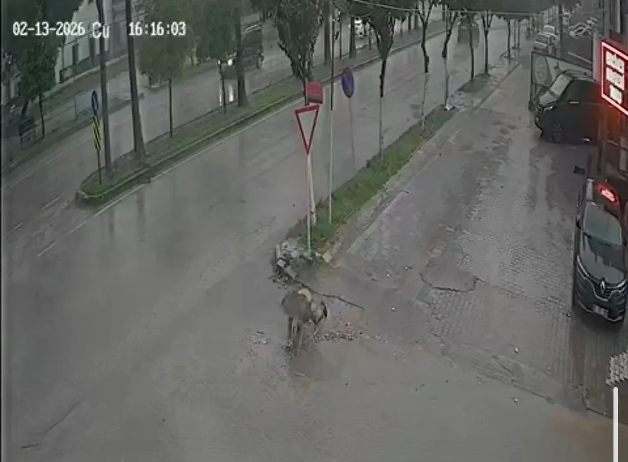 Belediyenin çakıl dökerek kapatmaya çalıştığı çukura takılan kadın hastanelik oldu!