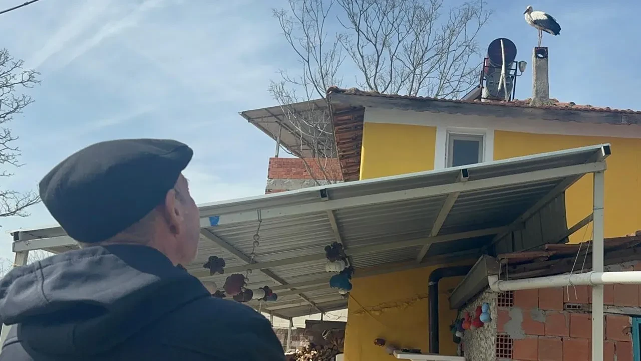 Milyonların gönlüne dokunmuştu! Köyde heyecanlı bekleyiş: Yaren leyleğin eşi geldi