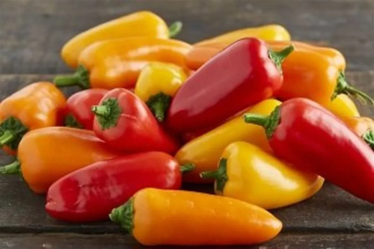 Ramazan pidesi dolması nasıl yapılır? Gelinim Mutfakta'da kaçırılan püf noktası!