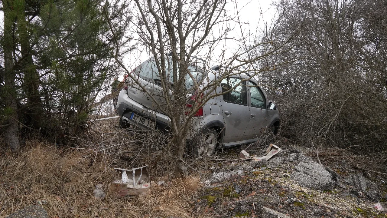 Virajı alamadı, ağaçlara çarparak durabildi! Kastamonu'da feci kaza