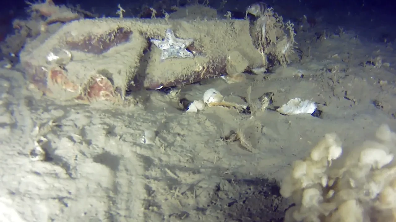 Yarım asırdır aranıyordu, Marmara Denizi'nde yeni kalıntılara ulaşıldı! THY uçağına ait izler görüntülendi