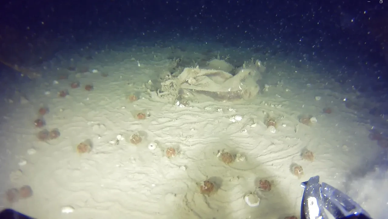 Yarım asırdır aranıyordu, Marmara Denizi'nde yeni kalıntılara ulaşıldı! THY uçağına ait izler görüntülendi