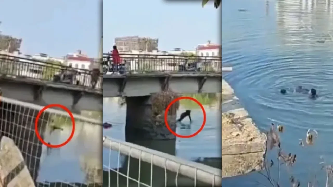 Eşiyle köprüde tartışırken çocuğunu tutup suya fırlattı! 