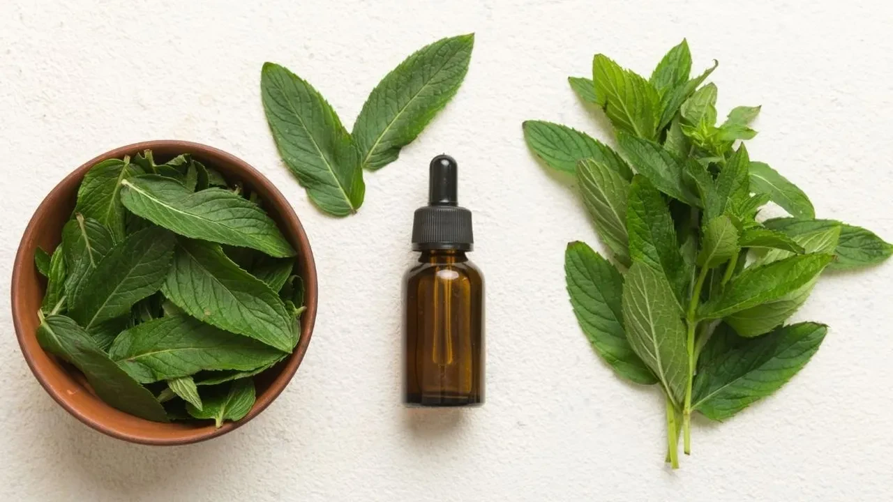 Oruç sırasında tutan baş ağrısına hızlı çözüm! Bir damla nane yağı