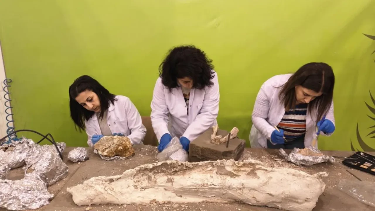  Taşhan'da tarihi keşif! 7,7 milyon yıllık tarihe ışık tuttu