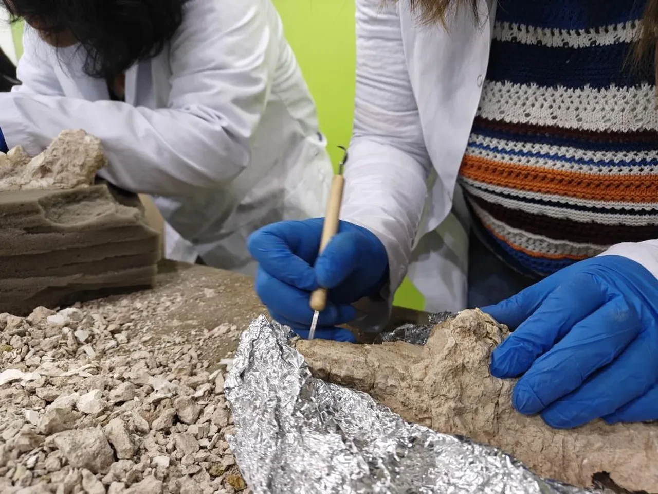 Taşhan'da tarihi keşif! 7,7 milyon yıllık tarihe ışık tuttu