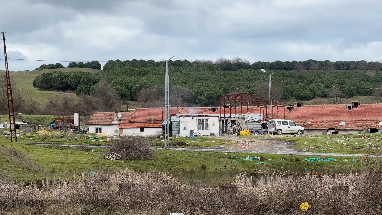 Arnavutköy'de elektrikli testereli saldırı: Çiftlik evinde dehşet!