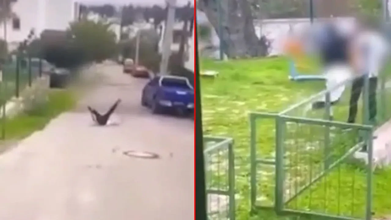 Bodrum'da infial oluşturan akran zorbalığı: Çocuğu feci şekilde darbederek bayılttı