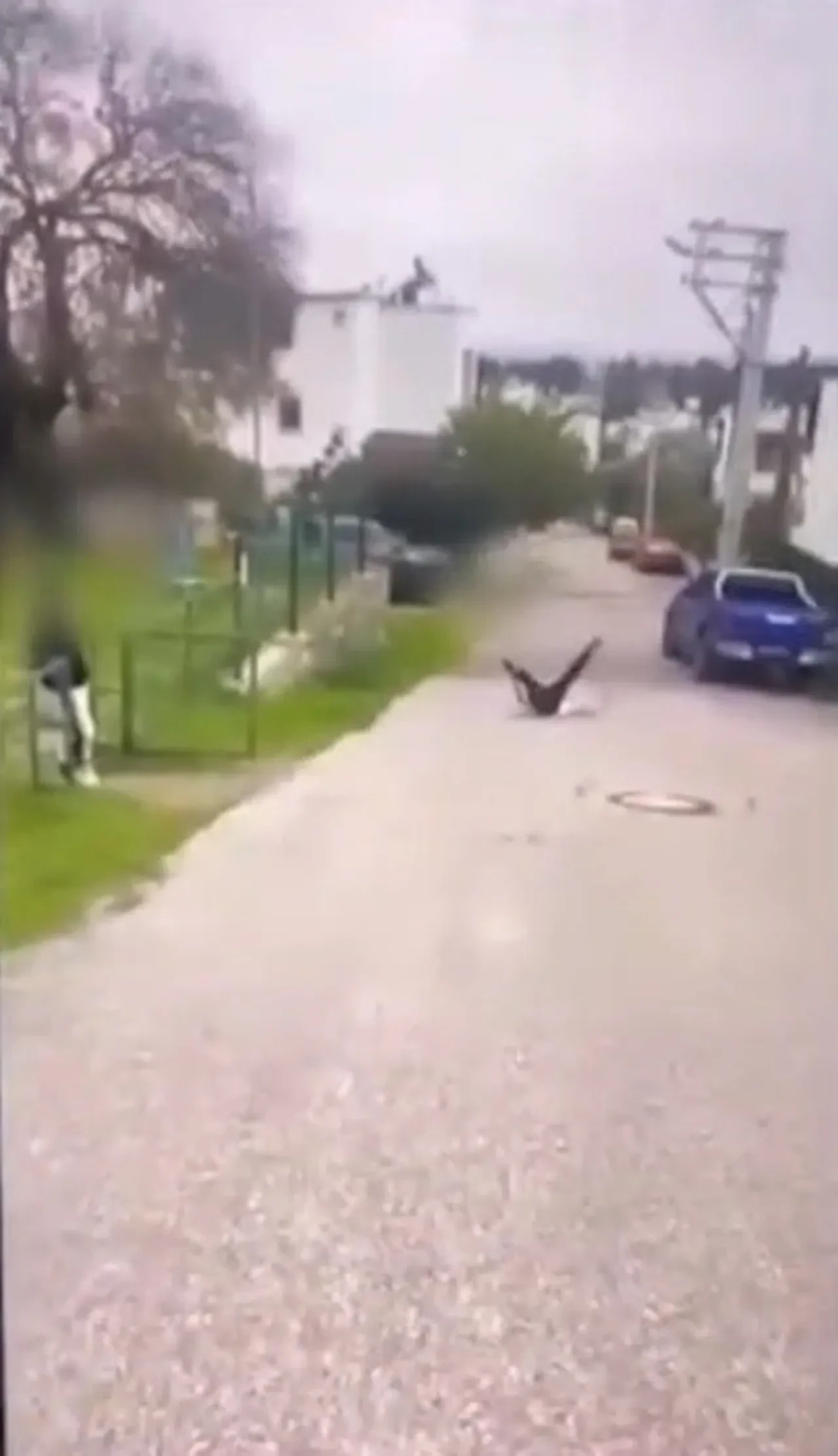 Bodrum'da infial oluşturan akran zorbalığı: Çocuğu feci şekilde darbederek bayılttı