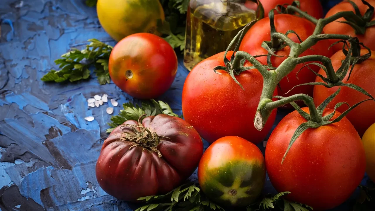 Dünyanın en iyi domatesleri sıralaması belli oldu! Türkiye’den bir ilçe listeye girdi
