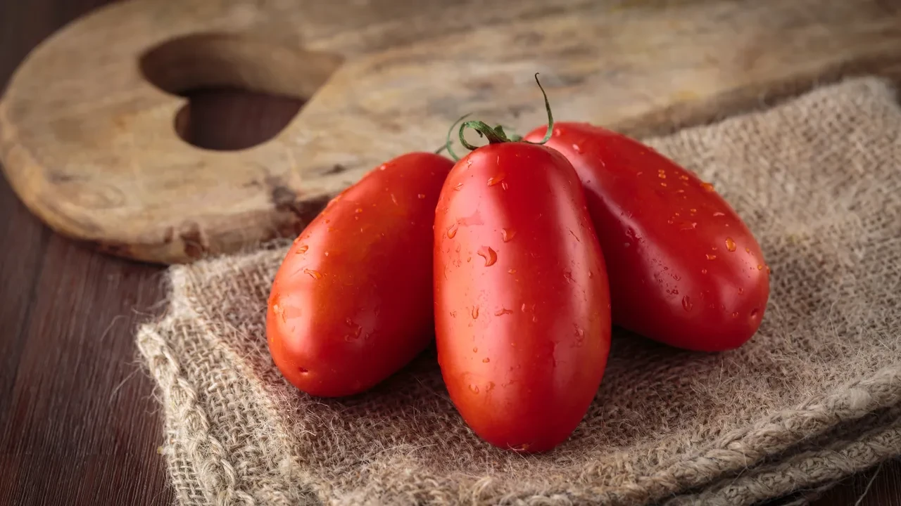 San Marzano Domatesi 